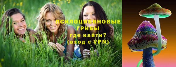спайс Алексин