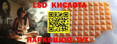 шишки Новодвинск