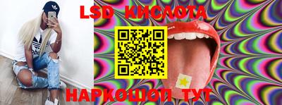 mdpv Камышлов