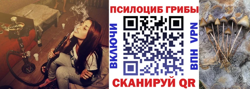 Галлюциногенные грибы прущие грибы  Волхов 