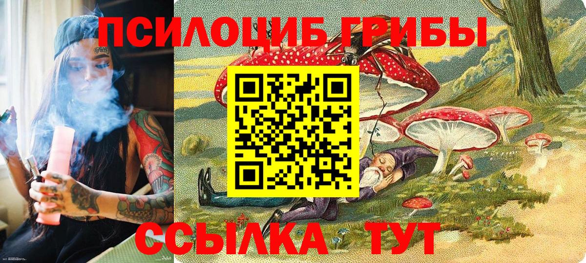 Псилоцибиновые грибы мухоморы  Вход с VPN  Волхов 