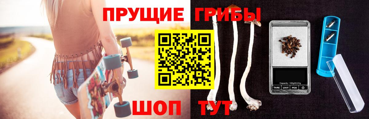 Галлюциногенные грибы мухоморы Волхов